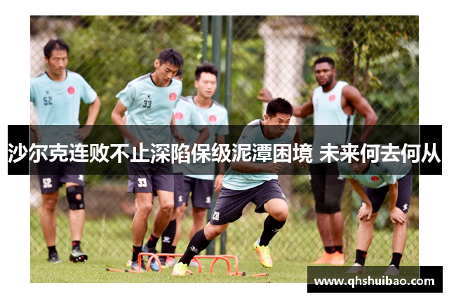 沙尔克连败不止深陷保级泥潭困境 未来何去何从 沙尔克连败不止深陷保级泥潭困境 未来何去何从